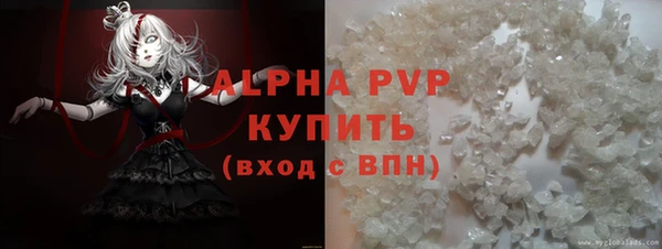 твердый Абаза
