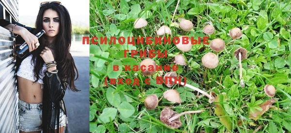 ешки Абинск