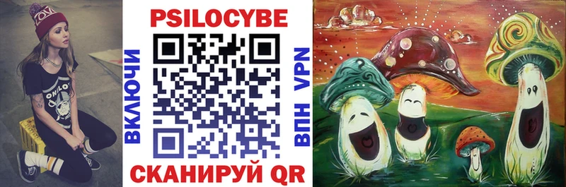 ОМГ ОМГ маркетплейс  купить   Грязи  Псилоцибиновые грибы GOLDEN TEACHER 