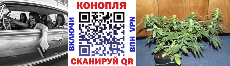 Каннабис THC 21% Грязи